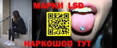 гидра Ставрополь