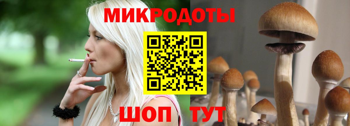 Псилоцибиновые грибы мухоморы Набережные Челны